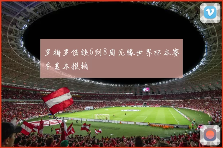 罗梅罗伤缺6到8周无缘世界杯本赛季基本报销